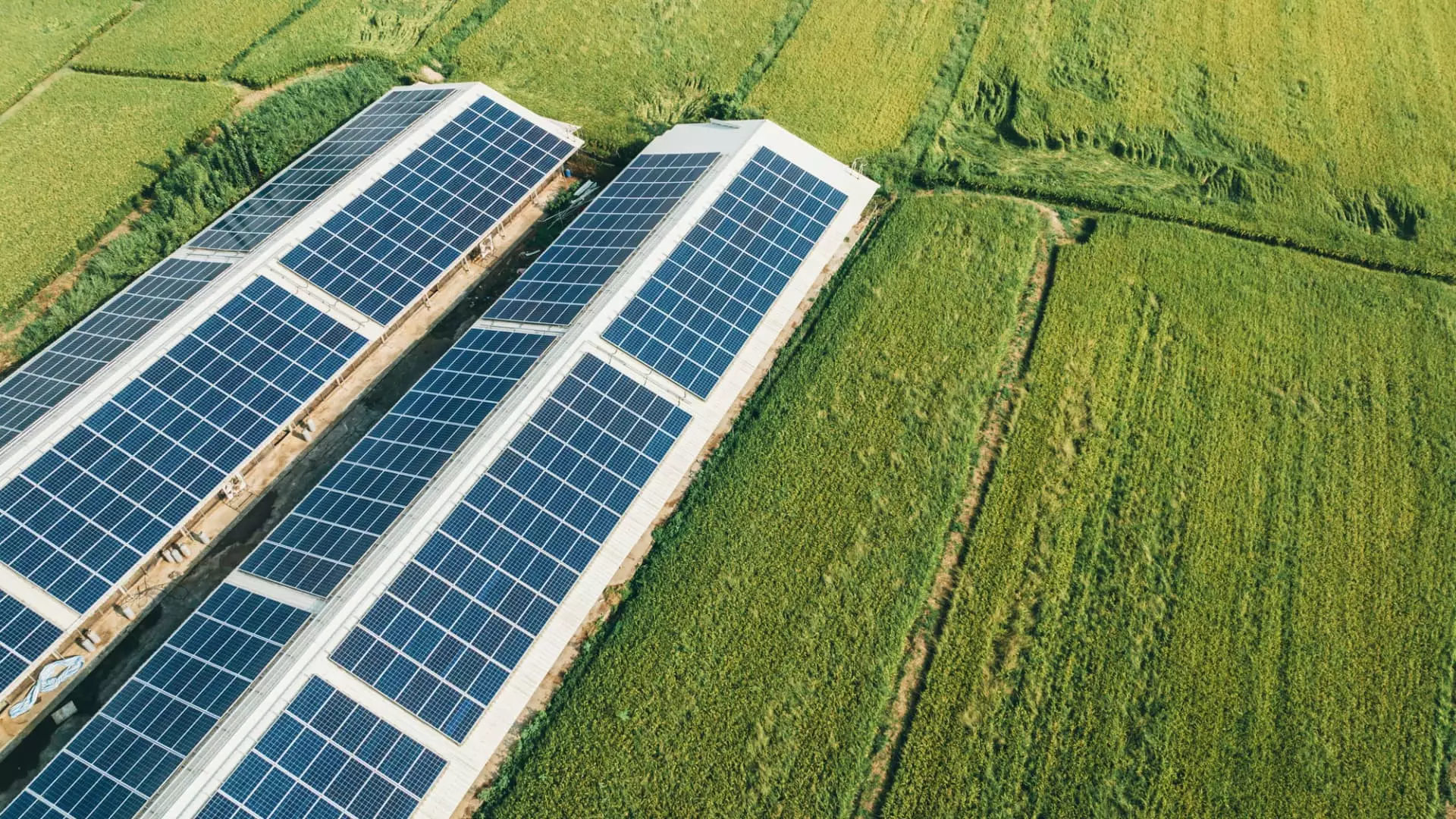 Google Partners with BlackRock to Develop Solar Capacity in Taiwan