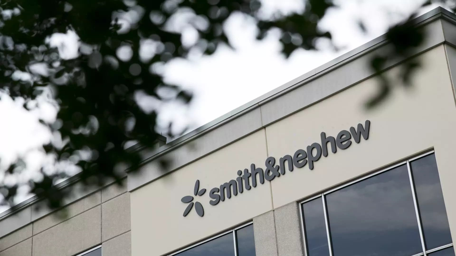 The Strategic Analysis of Smith & Nephew: A Company in Need of Change