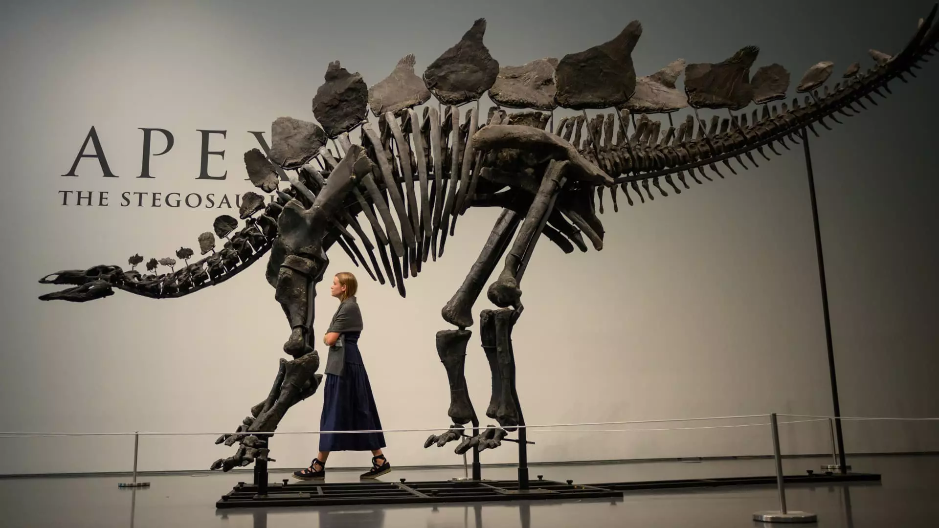 The Most Expensive Fossil Auction Ever: Ken Griffin Buys Stegosaurus Skeleton for $44.6 Million