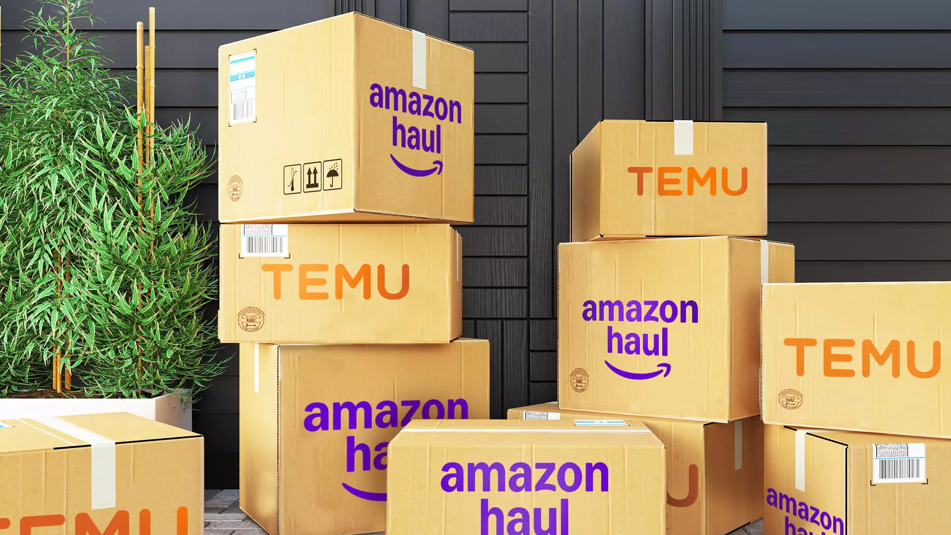 The Global Ambitions of Amazon’s Haul: Expanding Beyond Borders