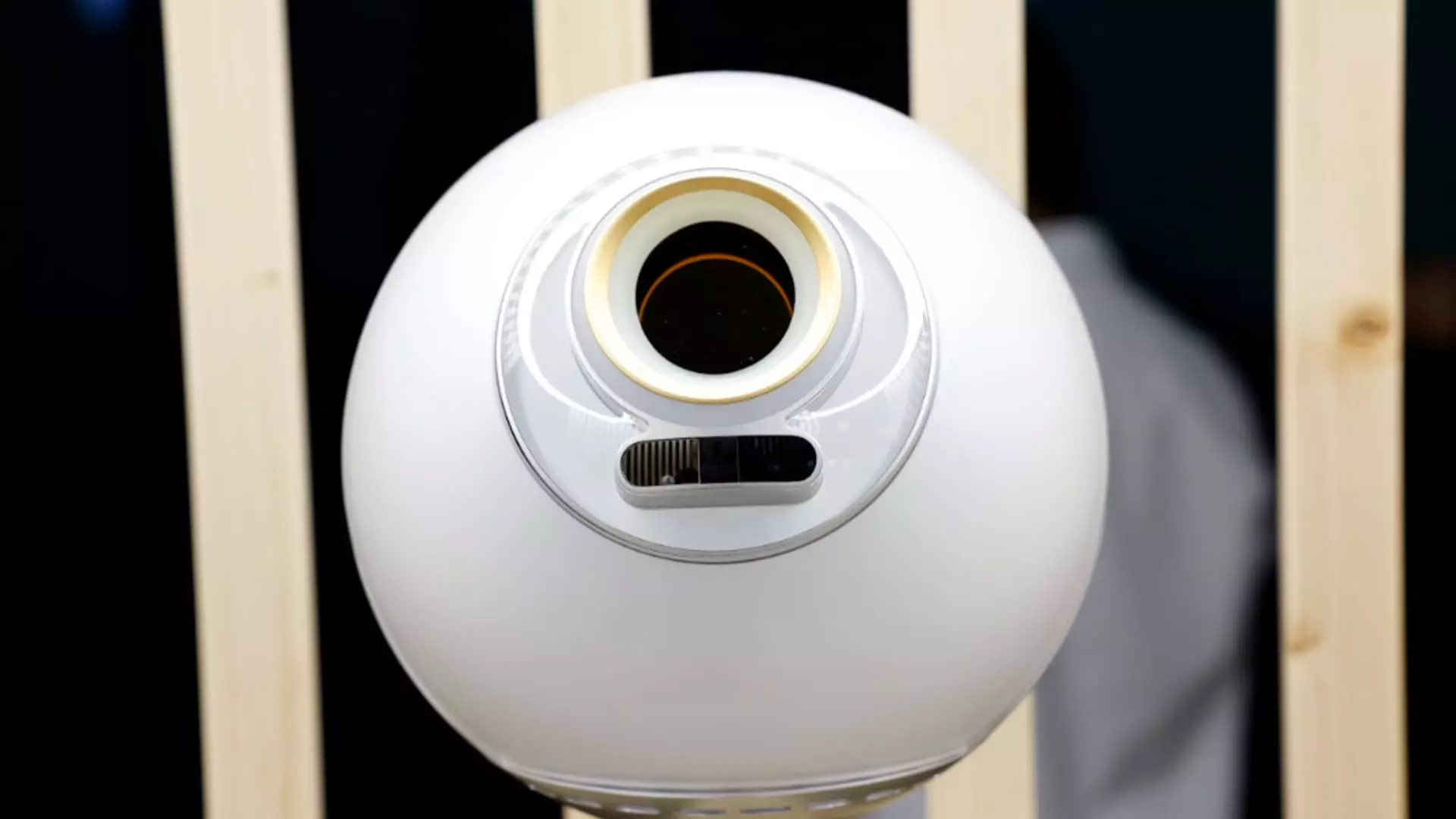 7 Critical Concerns About World: The Biometric Revolution That Might Backfire